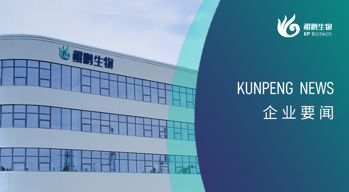 宁波长征娱乐新添两项政府荣誉认定 创新发展再获认可